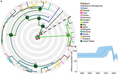 Phylogeography of Equine Infectious Anemia Virus